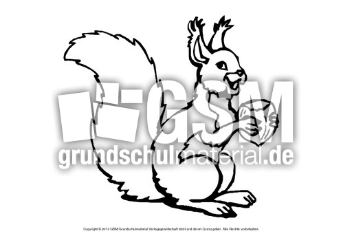ausmalbilder a und b hörnchen ausmalbilder a und b hörnchen